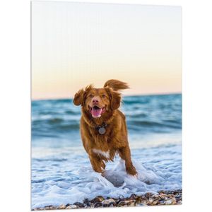 WallClassics - Vlag - Vrolijke Hond op het Strand - 70x105 cm Foto op Polyester Vlag