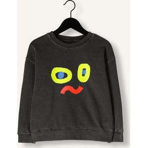 Jelly Mallow Catchy Face Pigment Sweatshirt Truien & Vesten Jongens - Sweater - Hoodie - Vest- Antraciet - Maat 104/110