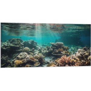 Vlag - Onderwater - Zee - Water - Koraal - Dieren - Kleuren - Zand - 100x50 cm Foto op Polyester Vlag
