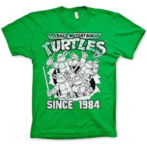 Teenage Mutant Ninja Turtles TMNT Distressed Since 1984 T-Shirt Green-S