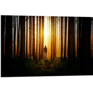 PVC Schuimplaat- Man in Bos met Hoge Bomen tijdens Felkleurige Zonsondergang - 90x60 cm Foto op PVC Schuimplaat