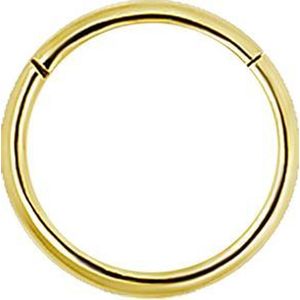 18 Karaat Gouden Segment Ring (1mm) - Neus Oor Piercing
