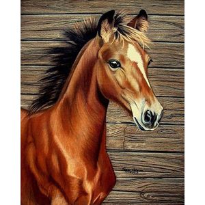 Diamond painting - Bruin paard met hout - 40x30cm