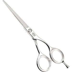 DZ Professionele Kappersschaar – Ergo Offset Design – 15 cm.- Gepolijst RVS