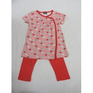 wiplala, kledingset, kleedje+ legging , rose , olifant