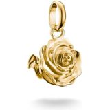 Thomas Sabo - CC1263-413-39 - Charm-hanger - Geel Goud - Charm Club