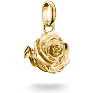 Thomas Sabo - CC1263-413-39 - Charm-hanger - Geel Goud - Charm Club