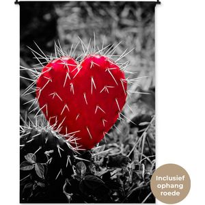Wandkleed Rood zwart wit - Zwart-wit foto met een rode hartvormige cactus Wandkleed katoen 120x180 cm - Wandtapijt met foto XXL / Groot formaat!