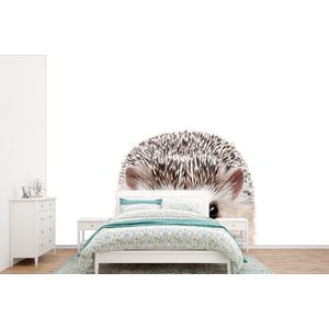 Egel - Dieren - Natuur - Wit - Behangpapier