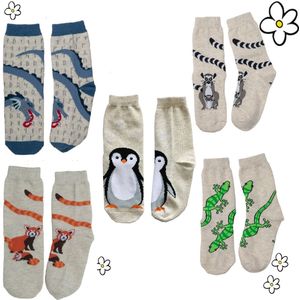 Nature Planet Set van 5 vrolijke vriendjes kindersokken (100% Oeko-tex gecertificeerd) maat 29-34