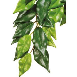 Exo Terra - Rainforest Plant Ficus Small
