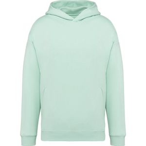 Native Spirit Ecologische uniseks oversized sweater met capuchon NS408 - Brook Green - M