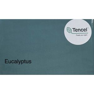 Hoeslaken Tencel - Katoen 180x200 kleur eucalyptus