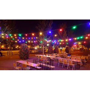 Led party lichtsnoer - 5 meter - 10 lampen - Multicolor - 24V