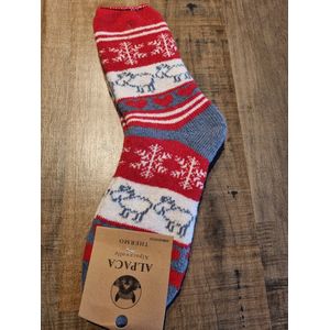 1 Paar - Alpaca Wollen Sokken - Maat 35-38 - Wintersokken - -Huissokken - Wandelsokken - Cadeau Artikel
