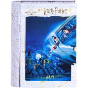Harry Potter - Harry & Ron vliegen over Zweinstein Puzzel 300 stk 41x31 cm - met 3D lenticulair effect