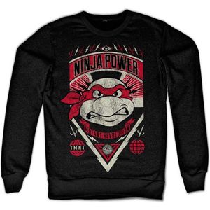 Teenage Mutant Ninja Turtles Sweater/trui -S- Ninja Power Zwart