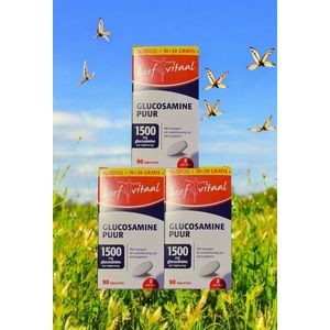 AKTIE SALE !! 3 x Leef Vitaal Glucosamine PUUR 1500 mg á 90 tabletten.