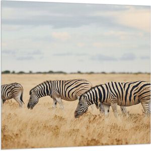 Vlag - Trio van Grazende Zebra's in Droog Afrikaans Landschap - 100x100 cm Foto op Polyester Vlag
