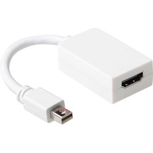 Ewent - Videoadapter - DisplayPort / HDMI - Mini DisplayPort (M) naar HDMI (M) - 15 cm - wit
