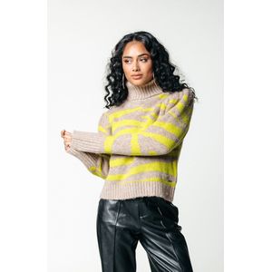 Colourful Rebel Tani Zebra Jacquard Knitted Roll Neck Sweater - XS
