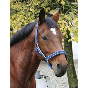 rouw Vakantie Mordrin Monty roberts dually halster rood - pony - Dierenbenodigdheden online |  Lage prijs | beslist.nl