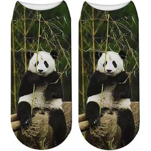 Enkelsokken Panda - Pandaberen enkelsokken - Fotoprint - Unisex Maat 36-41