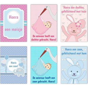 Geboortekaartjes - Set van 12 x Geboortekaart - Jongen en Meisje / Zoon en Dochter