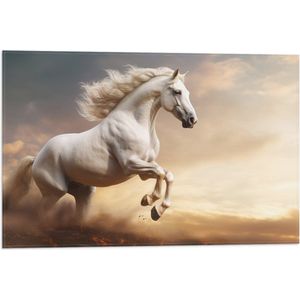 Vlag - Galopperend Sierlijk Wit Paard over het Strand - 60x40 cm Foto op Polyester Vlag