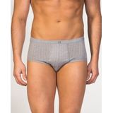zd ZERO DEFECTS Slip 'Senior Prinstriped Fly Front Brief' grijs