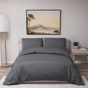Dekbedovertrek 240x220 cm met 2 Kussenslopen - Donkergrijs - 100% Microvezel - Oeko TEX Goedkope Bedset