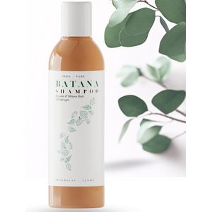 Batana oil shampoo - Batana olie - Batana olie shampoo - haargroei - haaruitval - Hair Growt - 250ml