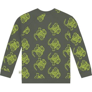 Smitten Organic 'Camping Magical Leopard' All Over Print Pullover Long Sleeve in Balsam Green kleur