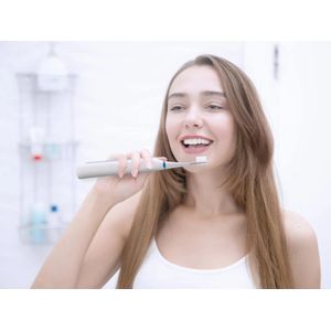 Berdsen sonische opzetborstels 8 stuks