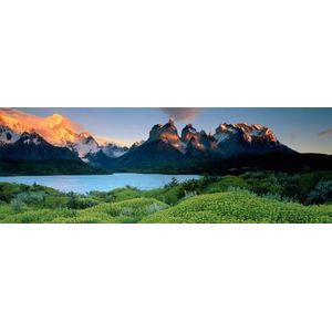 Heye Puzzel - Alexander Von Humboldt: Cuernos del Paine