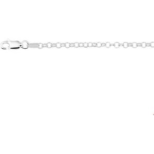 Zilveren Collier jasseron 3 1017430 42 cm