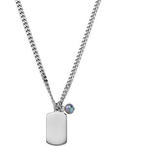 Ocata | Ketting met Zilverkleurige Dog Tag en Zwarte Parels