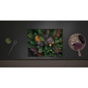 Inductie Beschermer - Bovenaanzicht van Coniferen Bomen in Verschillende Kleuren - 60x52 cm - 2 mm Dik - Inductieplaat Beschermer met zwarte kern