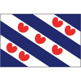 Talamex Friese vlag  50 x 75 cm