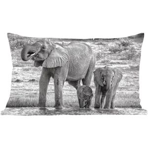 Sierkussens - Kussen - Familie olifanten aan het water in zwart-wit - 50x30 cm - Kussen van katoen