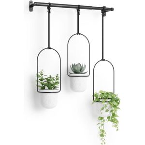 Orthodontische Wax voor Beugels Met Fruitgeur - Set van 10 Dozen .