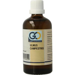 GO - Ulmus Campestris - Voedingssupplement - Biologisch - 100ml