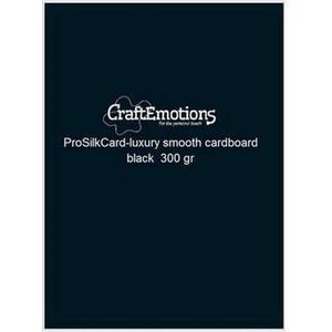 CraftEmotions ProSilkCard - luxe glad karton zwart 50 vl A4 - 300 gr