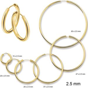 Huiscollectie 4001289 Gouden Oorring 25 mm rond