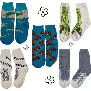 Nature Planet -kindersokken - set van 5 paar sokken - ringstaartmaki - 2x t-rex - mammoet -  zeeschildpad (100% Oeko-tex gecertificeerd) maat 23-28