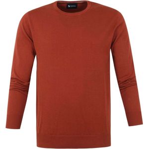 Suitable - Respect Oini Pullover O-hals Roest - Heren - Maat L - Regular-fit