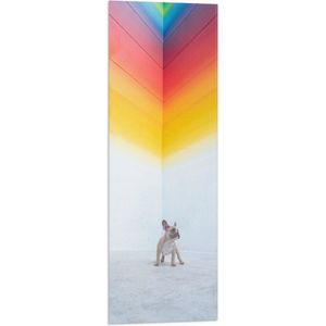 WallClassics - Vlag - Puppy onder Regenboog Street Art - 30x90 cm Foto op Polyester Vlag