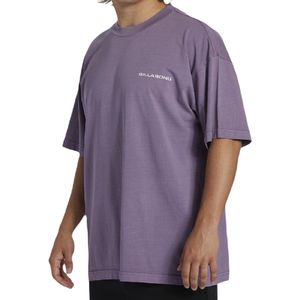 Billabong Paradise Burning Short Sleeve T-shirt - Washed Violet