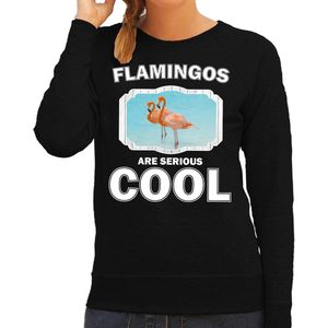 Dieren flamingo vogels sweater zwart dames - flamingos are serious cool trui - cadeau sweater flamingo/ flamingo vogels liefhebber XS
