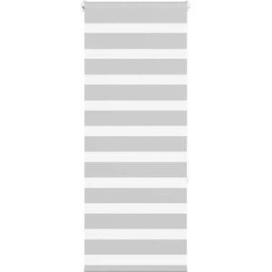 vidaXL - Zebra - rolgordijn - 60x150 - cm - stofbreedte - 55,9 - cm - lichtgrijs
